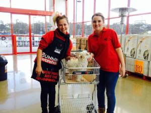 Sarah and Keonie pooch sitting for a customer at Bunnings.  Kindness in Action
